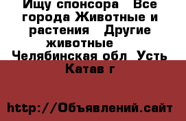 Ищу спонсора - Все города Животные и растения » Другие животные   . Челябинская обл.,Усть-Катав г.